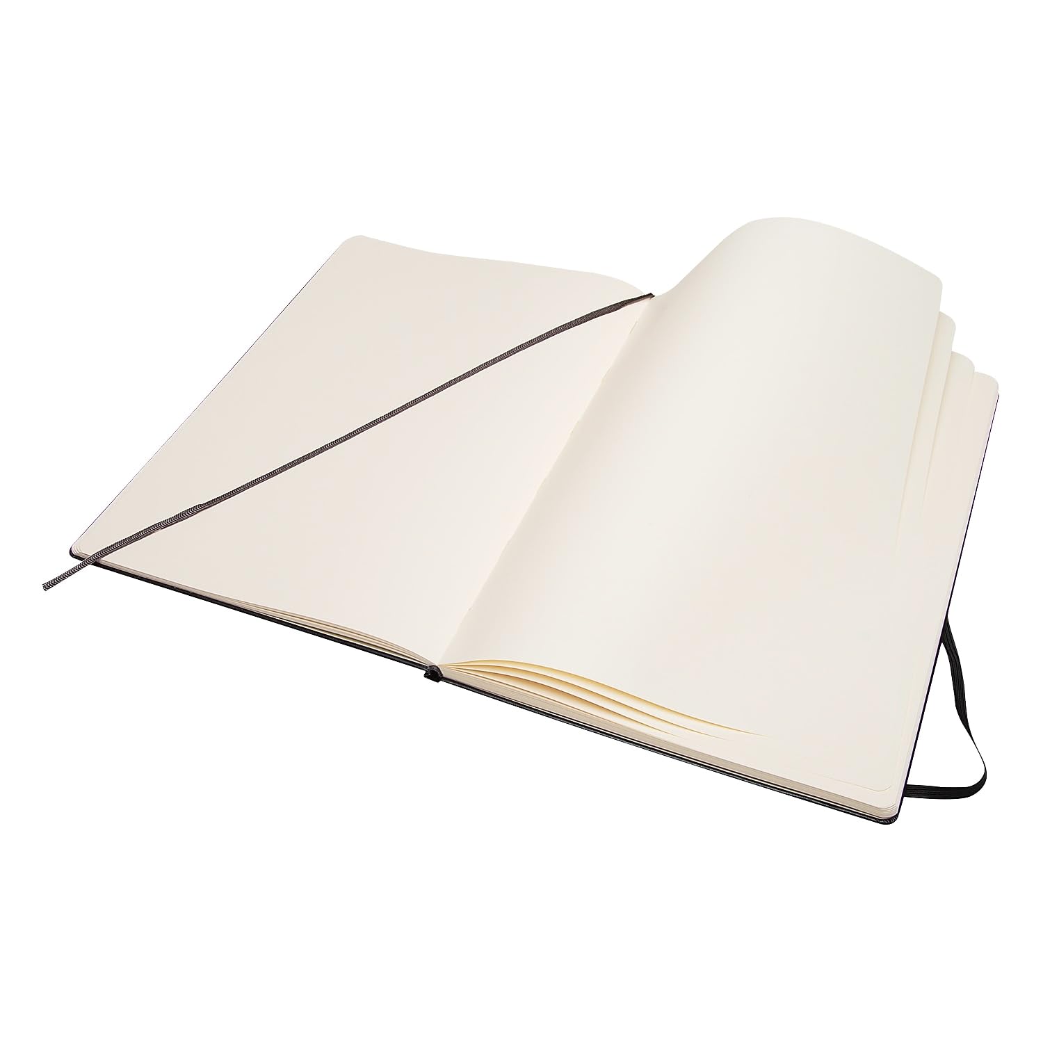 Moleskine Art Sketchbook, Hard Cover, A4 (8.25" x 11.75") Plain/Blank, Black, 96 Pages