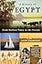 A History of Egypt: From Earliest Times to the Present