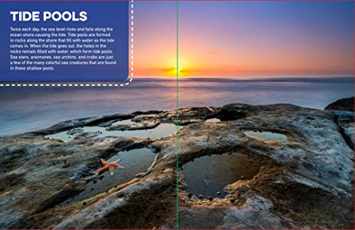 Discovery Real Life Sticker Book: Ocean (Discovery Real Life