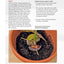 Regrow Your Veggies: Growing Vegetables from Roots, Cuttings, and Scraps (CompanionHouse Books) Sustainable Tips, Troubleshooting, & Directions for Lettuce, Potatoes, Ginger, Scallions, Mango, & More