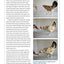 Click with Your Chick: A Complete Chicken Training Course Using the Clicker (CompanionHouse) Train Hens to Come When Called, Perch on Your Arm, and Do Tricks, with Positive Reinforcement [BOOK ONLY]