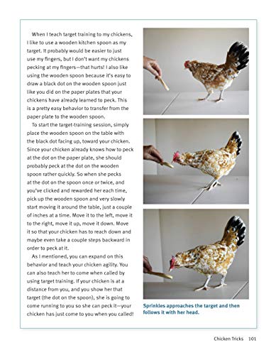 Click with Your Chick: A Complete Chicken Training Course Using the Clicker (CompanionHouse) Train Hens to Come When Called, Perch on Your Arm, and Do Tricks, with Positive Reinforcement [BOOK ONLY]