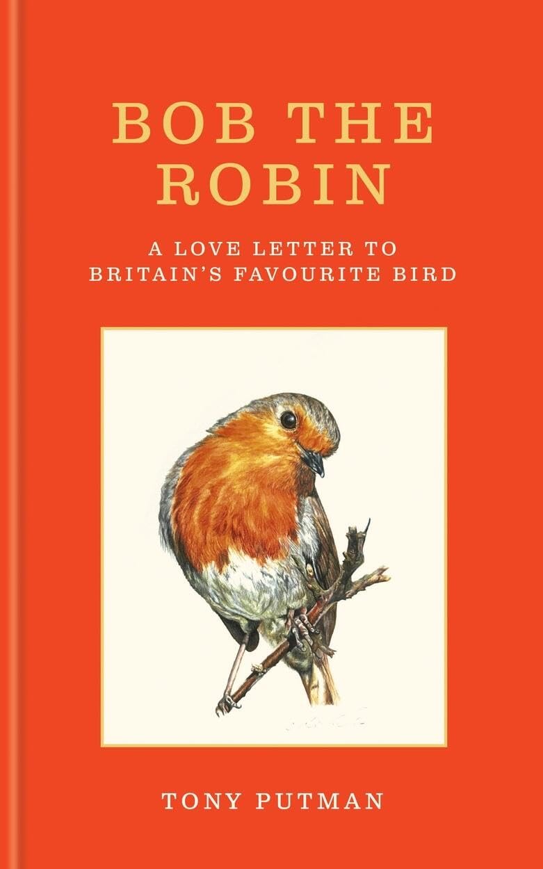 Bob the Robin: A love letter to Britains favourite bird