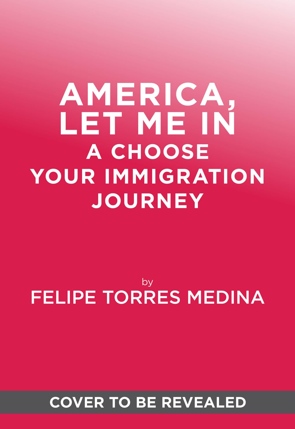 America, Let Me In: A Choose Your Immigration Journey