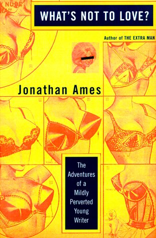 What's Not to Love?: The Adventures of a Mildly Perverted Young Writer