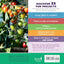 GrowVeg: The Beginner's Guide to Easy Vegetable Gardening
