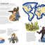 The Atlas of Women Explorers by Francaviglia, Riccardo