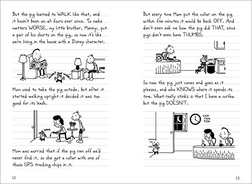 Diary Of A Wimpy Kid 10 Old School