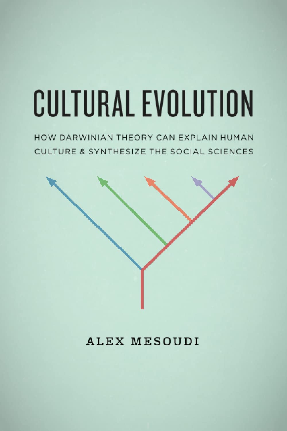 Cultural Evolution: How Darwinian Theory Can Explain Human Culture and Synthesize the Social Sciences
