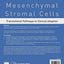 Mesenchymal Stromal Cells: Translational Pathways to Clinical Adoption