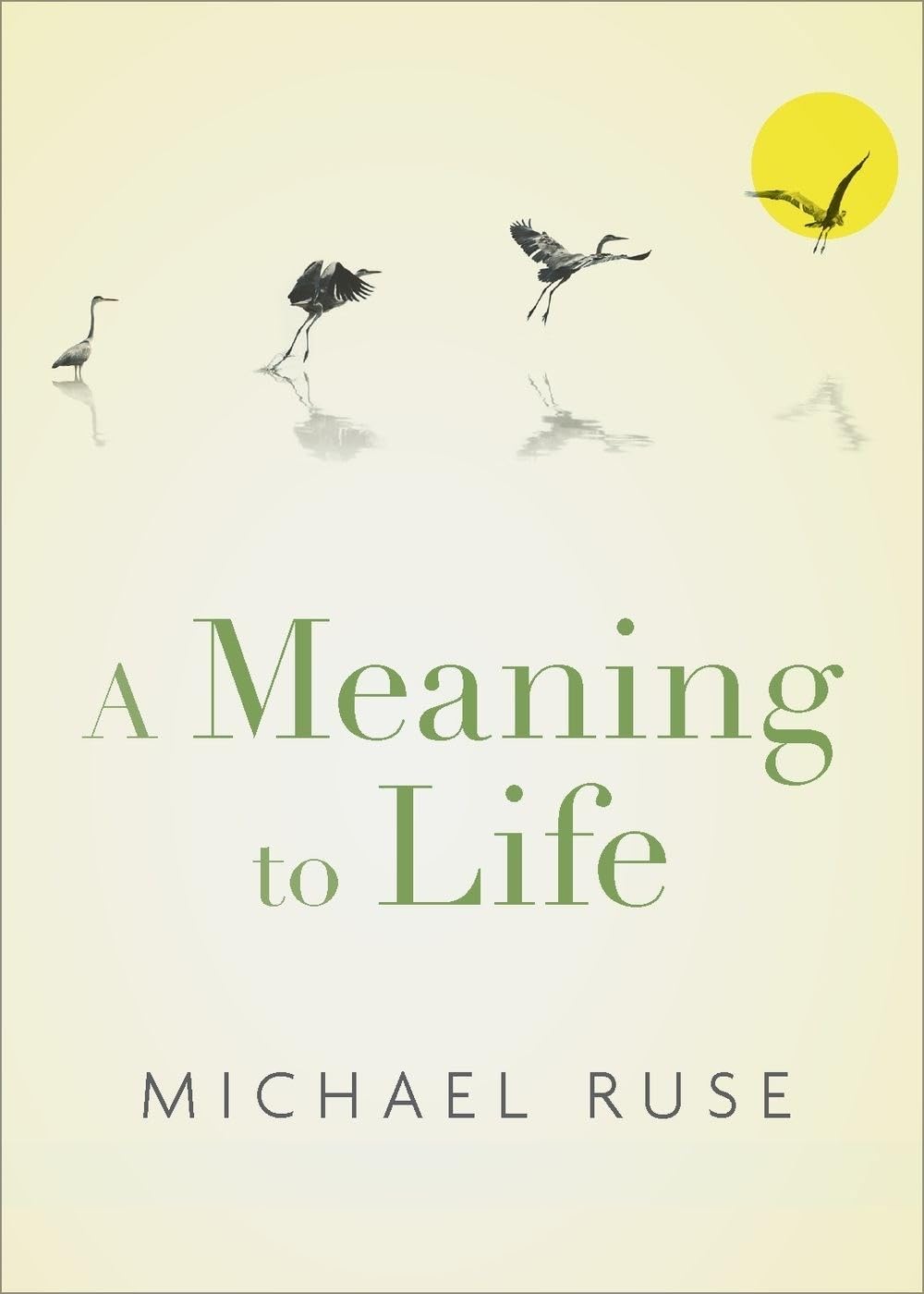 A Meaning to Life (Philosophy in Action)