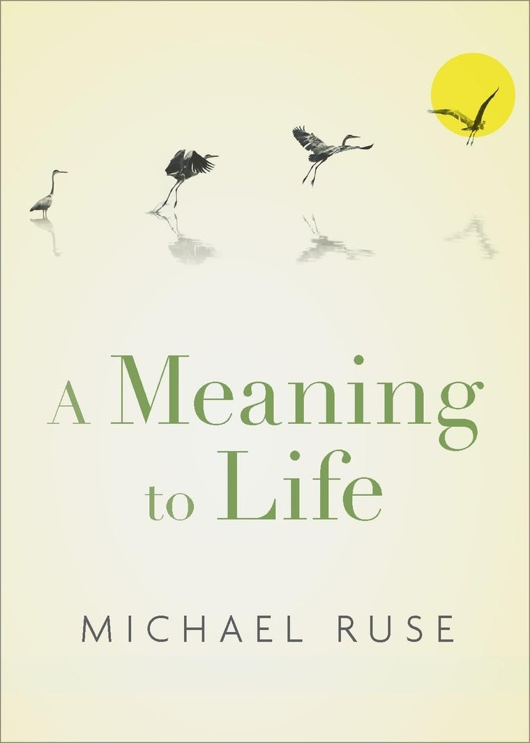 A Meaning to Life (Philosophy in Action)