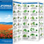 California Trees & Wildflowers: A Folding Pocket Guide to Familiar Plants (Wildlife and Nature Identification)