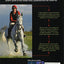 How Your Horse Moves: A Unique Visual Guide to Improving Performance