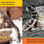 National Geographic Readers: In the Desert (PreReader) (National Geographic Readers, Pre-Reader)