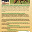 Police K9 Tracking: A Guide for Training & Deploying the Pol