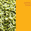 Food52 Big Little Recipes: Good Food with Minimal Ingredients and Maximal Flavor [A Cookbook] (Food52 Works)