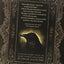 Edgar Allan Poe Complete Stories & Poems (Amazing Values)