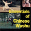 Essentials of Chinese Wushu