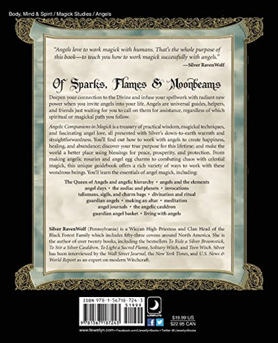 Angels: Companions in Magick by RavenWolf, Silver