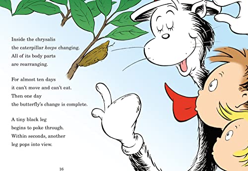 My Oh My, a Butterfly. Based on the Characters Created by Dr Seuss