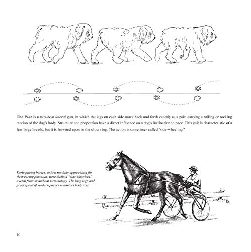 Dogsteps: A New Look, 3rd Edition (CompanionHouse Books) Definitive Manual to Canine Movement, Dog Anatomy, and Natural Gaits of Purebred Dogs; for Breeders, Judges, and Anyone Wanting to Show Dogs