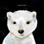 The Lonely Polar Bear (Happy Fox Books) A Subtle Way to Introduce Young Kids to Climate Change Issues; Beautifully Illustrated Children's Picture Book Set in a Fragile Arctic Environment