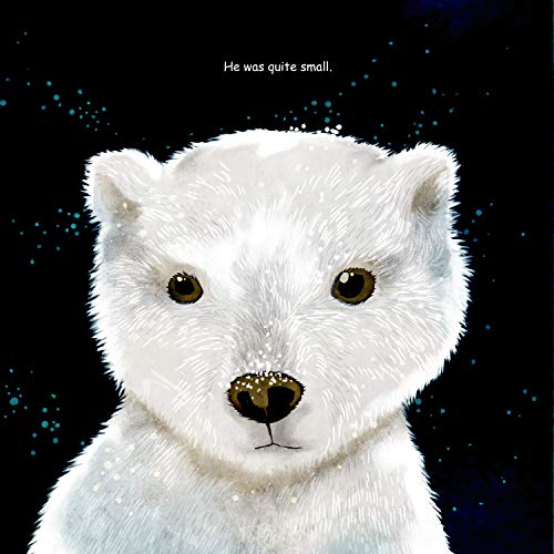 The Lonely Polar Bear (Happy Fox Books) A Subtle Way to Introduce Young Kids to Climate Change Issues; Beautifully Illustrated Children's Picture Book Set in a Fragile Arctic Environment