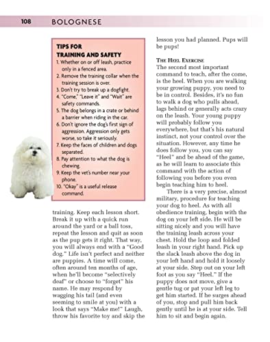 Bolognese (Comprehensive Owner's Guide)