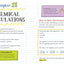 Everything You Need to Ace Chemistry in One Big Fat Notebook. (Big Fat Notebooks).
