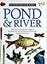 Pond & River