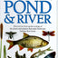 Pond & River