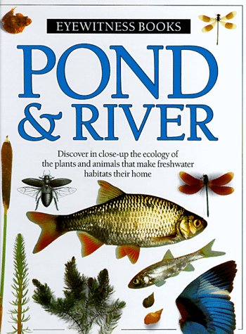 Pond & River