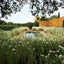 Architectural Digest at 100: Century of celebrity homes, iconic designers, and evolving American taste from Architectural Digest's archives.