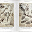 Leonardo. The Complete Drawings (Bibliotheca Universalis)