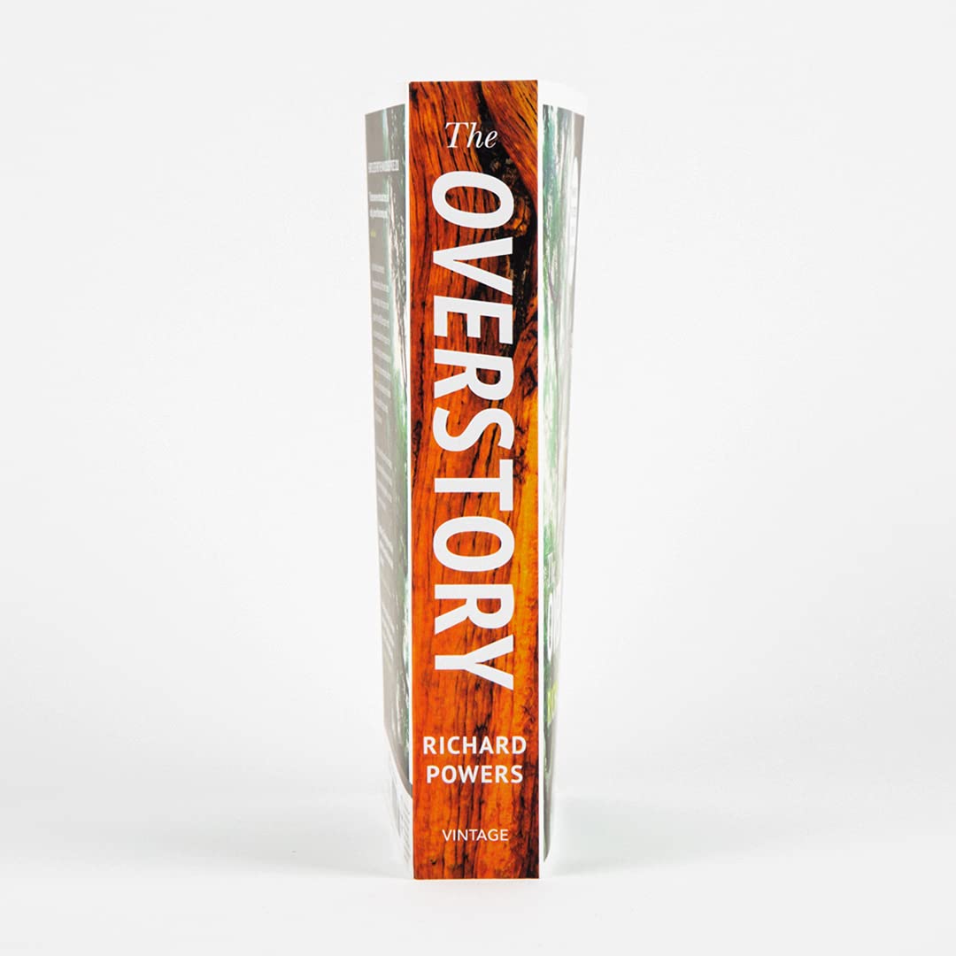 The Overstory