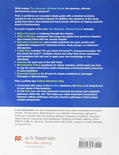 Absolute, Ultimate Guide to Principles of Biochemistry Study Guide and Solutions Manual