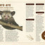 A Curious Collection of Peculiar Creatures: An Illustrated Encyclopedia (Curious Collection of Creatures)