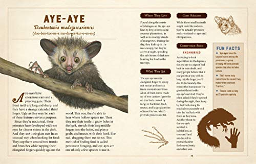 A Curious Collection of Peculiar Creatures: An Illustrated Encyclopedia (Curious Collection of Creatures)