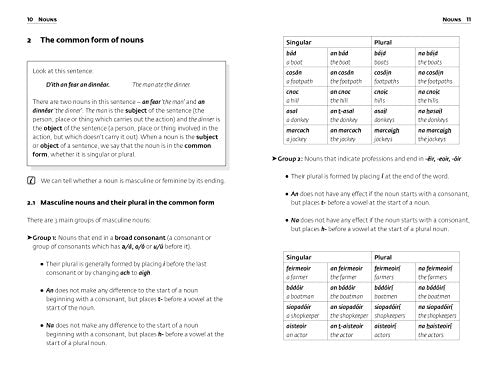 Irish Grammar (Collins Easy Learning) (English and Irish Edition)