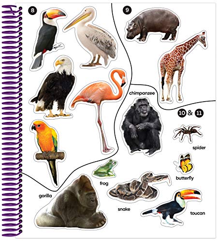 Brain Games - Sticker by Number: Safari Animals (For Kids Ages 3-6): A Kid's Sticker Activity Book With More Than 150 Stickers! (Brain Games - Sticker Activity)