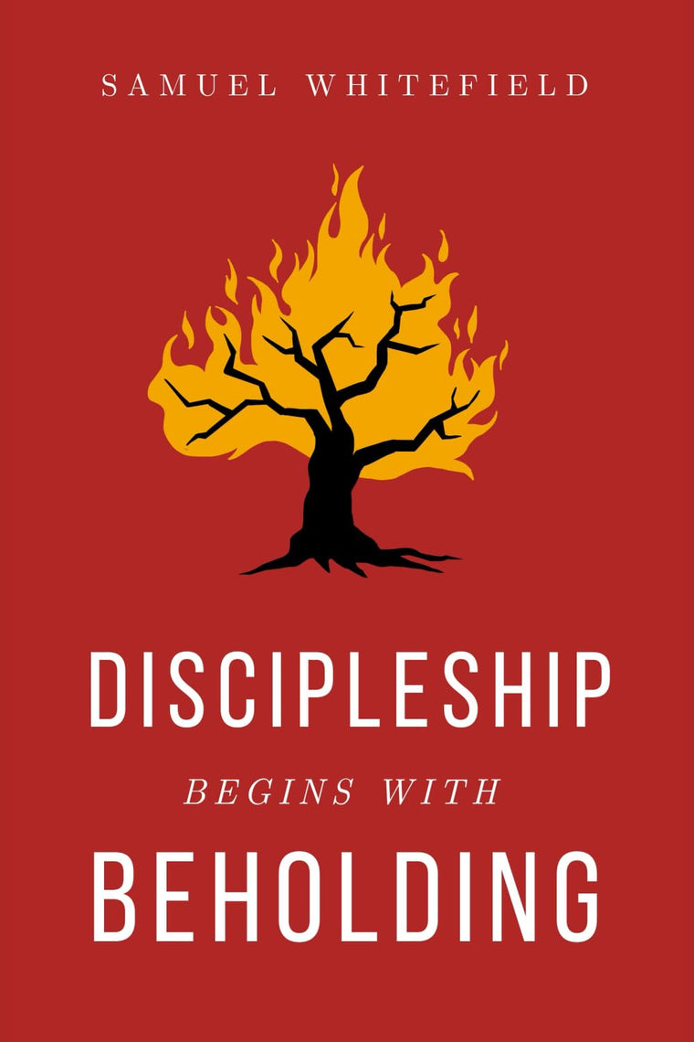 Discipleship Begins with Beholding