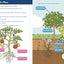 TinkerActive Workbooks: 1st Grade Science