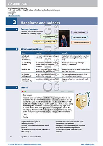 English Idioms in Use Intermediate Book with Answers: Vocabulary Reference and Practice (Vocabulary in Use)