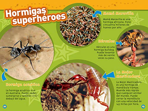National Geographic Readers: Las Hormigas (L1) (Spanish Edition)