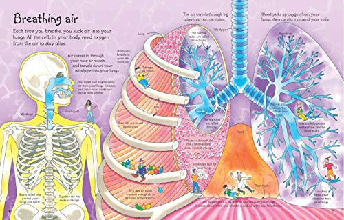 See Inside Your Body (International Edition)
