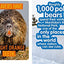 Weird But True! Canada: 300 Outrageous Facts About the True North