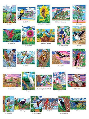 Creative Haven Birds Color by Number Coloring Book (Adult Coloring Books: Animals)