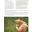 Dr. Khalsa's Natural Dog, 2nd Edition: Holistic Therapies, Nutrition, and Recipes for Healthier Dogs (CompanionHouse Books)