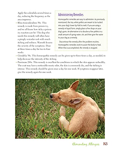 Dr. Khalsa's Natural Dog, 2nd Edition: Holistic Therapies, Nutrition, and Recipes for Healthier Dogs (CompanionHouse Books)